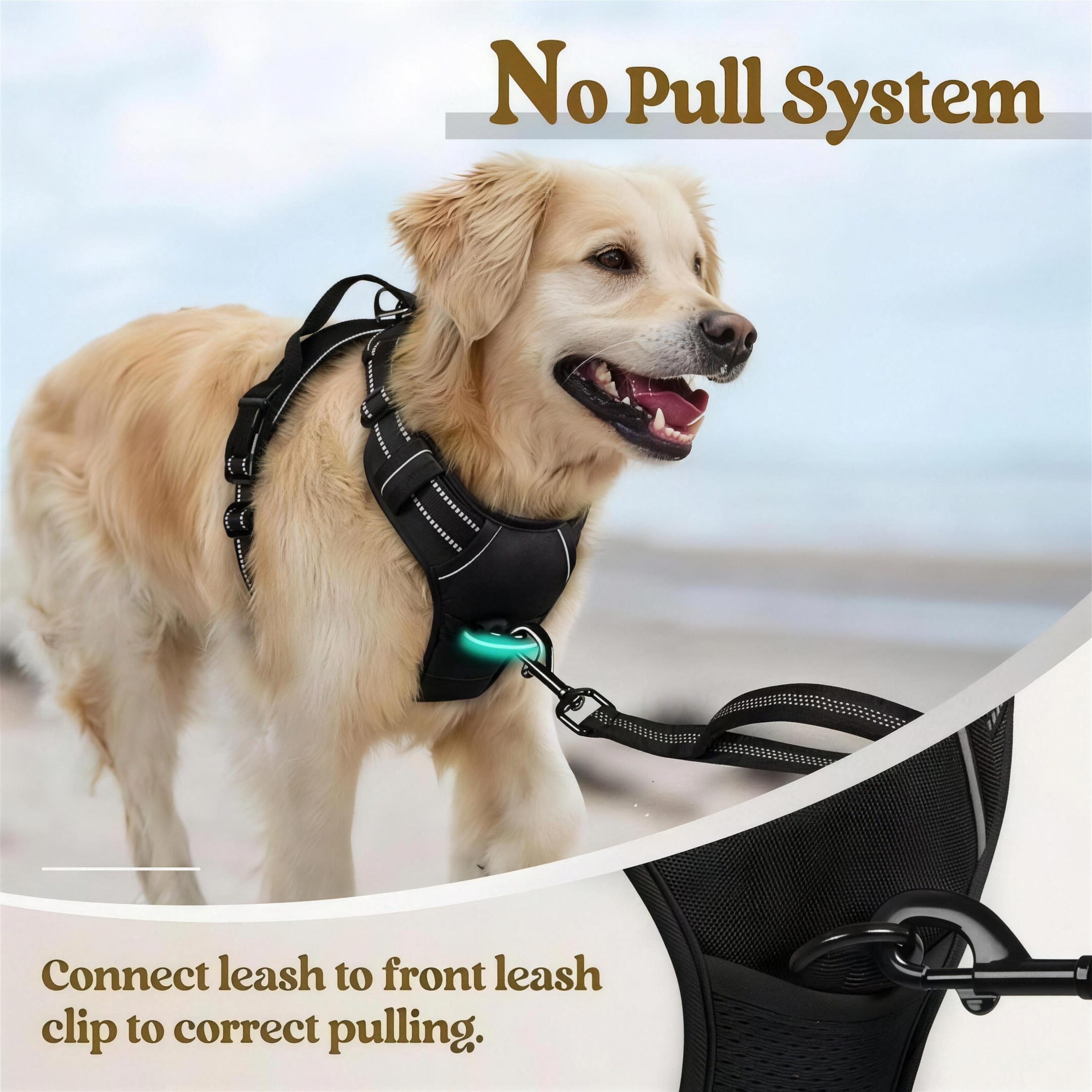 MudPaws No-Pull Dog Harness - Reflective Night Visibility