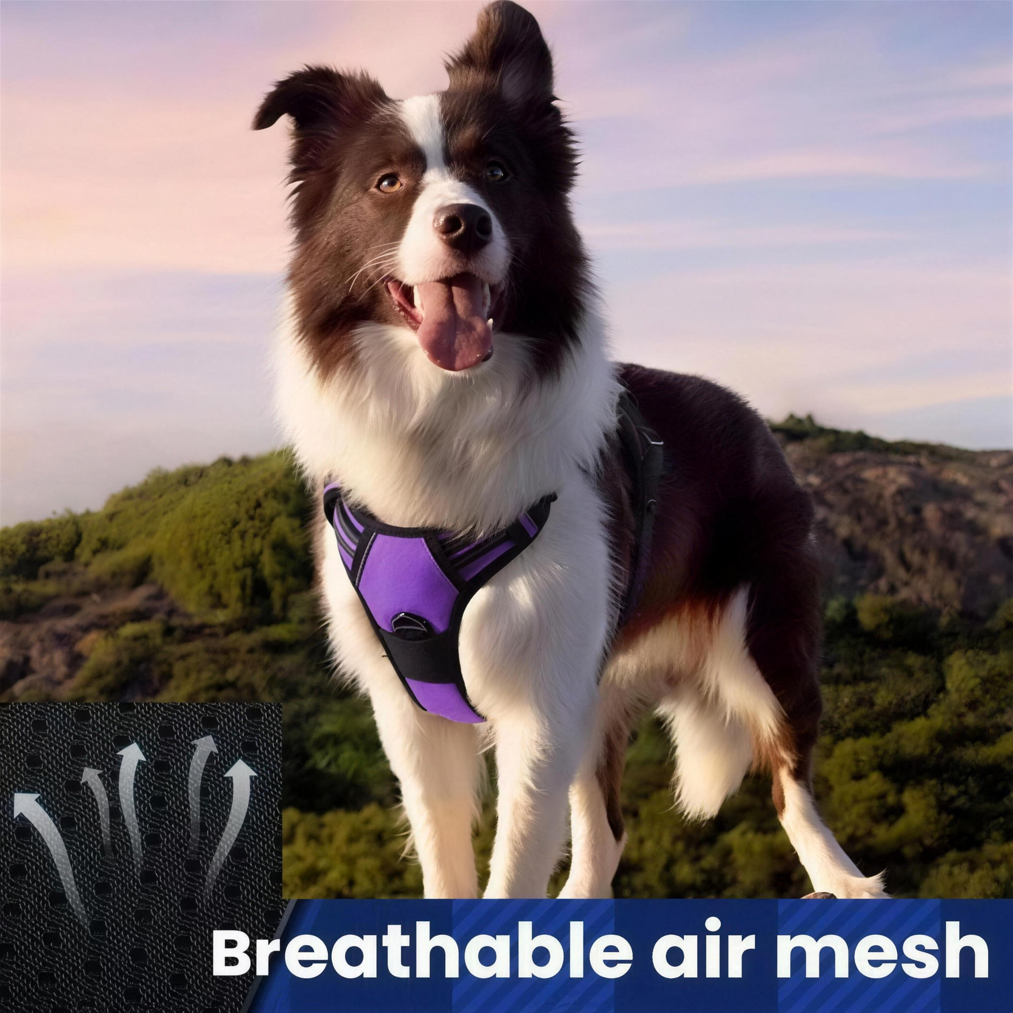 MudPaws No-Pull Dog Harness - Black on Dog