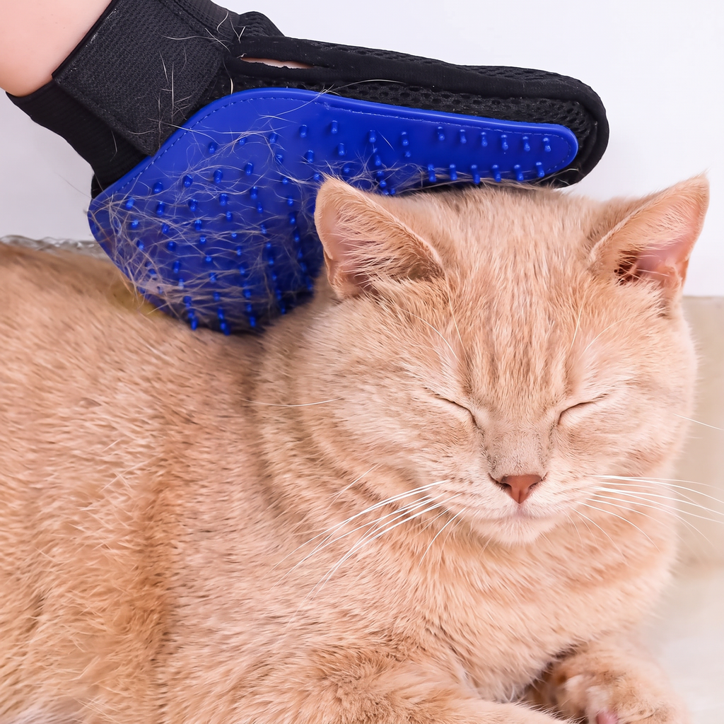 MudPaws Mess-Management Starter Kit - Grooming Brush